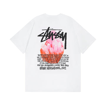 stussy t-shirt